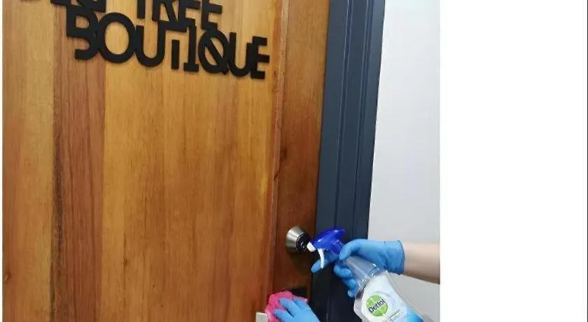 ***  Big Tree Boutique Hotel Ipoh Malaysia